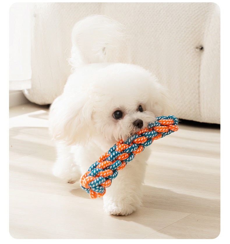 Since Hi Handy Gadget Teddy Bichon Small Puppies Dog