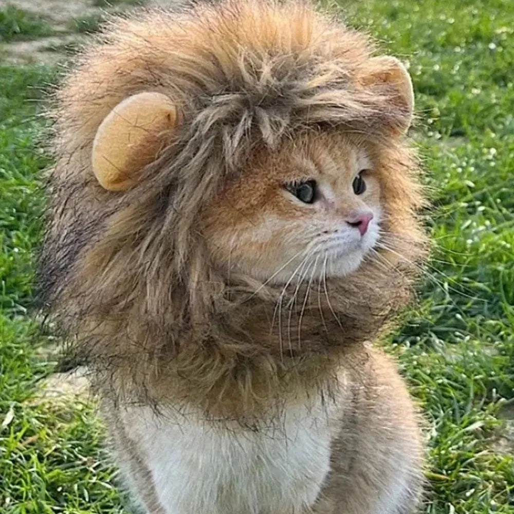 Cat Cosplay Party Hat For Large Medium Small Kitten and Puppy Cap Pet Headhood Outdoor Pet Products PhotoShoot Props Decoration