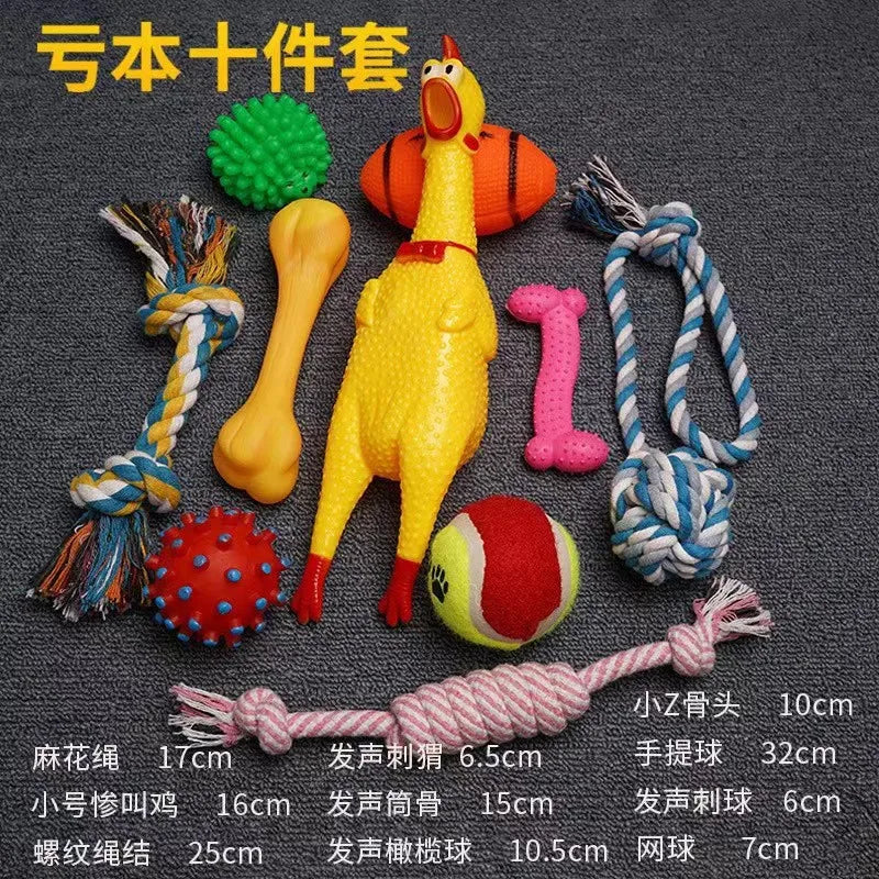 Plush Dog Toy Vocal Training Set Puppy Playtime Accessories Teddy Golden Retriever Supplies 2024 New