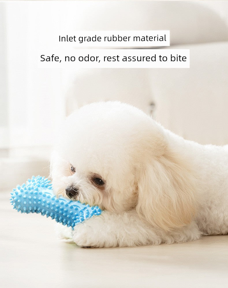 Since Hi Handy Gadget Teddy Bichon Small Puppies Dog