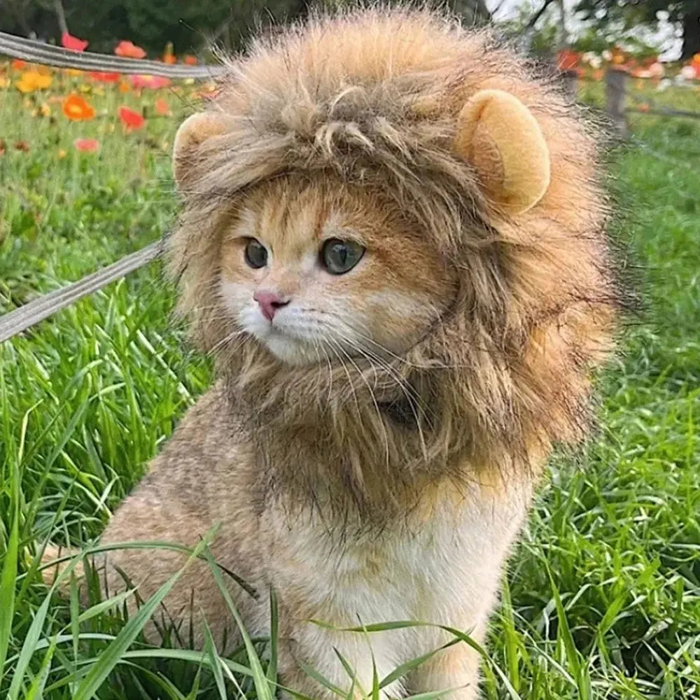 Cat Cosplay Party Hat For Large Medium Small Kitten and Puppy Cap Pet Headhood Outdoor Pet Products PhotoShoot Props Decoration