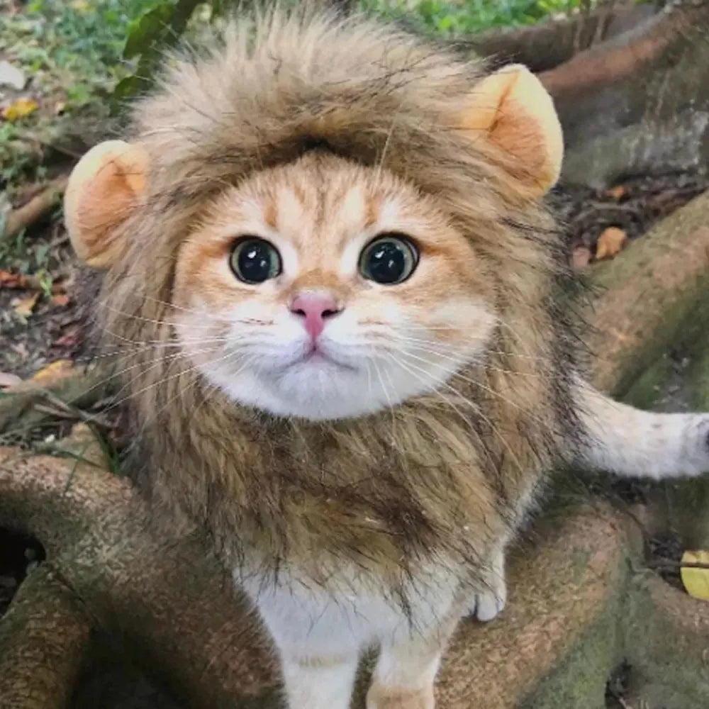 Cat Cosplay Party Hat For Large Medium Small Kitten and Puppy Cap Pet Headhood Outdoor Pet Products PhotoShoot Props Decoration