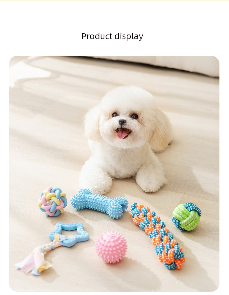 Since Hi Handy Gadget Teddy Bichon Small Puppies Dog