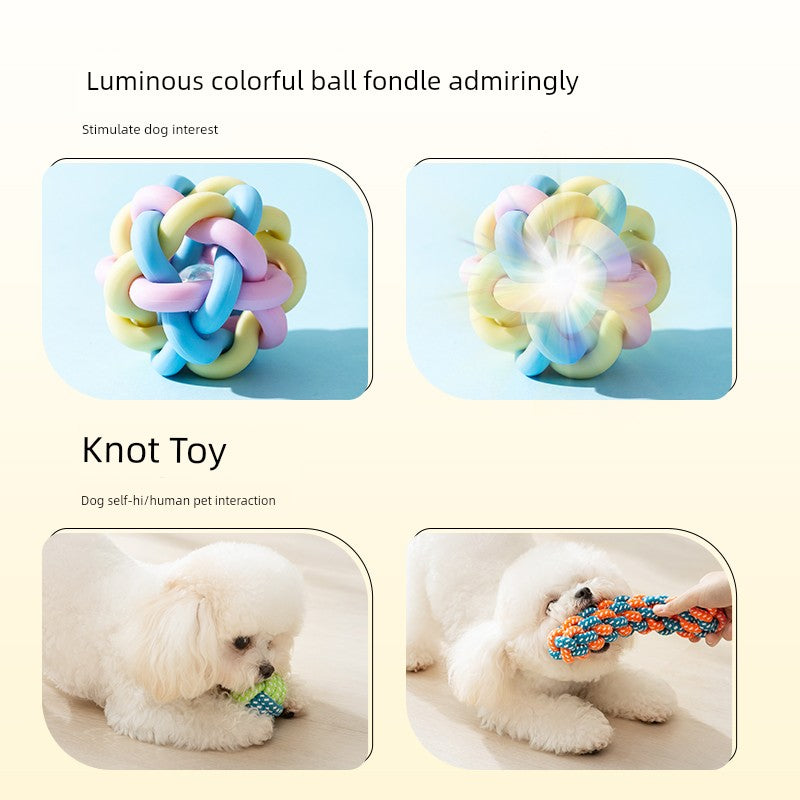 Since Hi Handy Gadget Teddy Bichon Small Puppies Dog