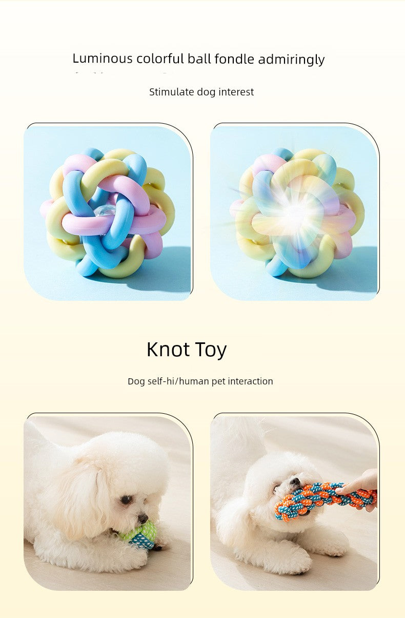 Since Hi Handy Gadget Teddy Bichon Small Puppies Dog