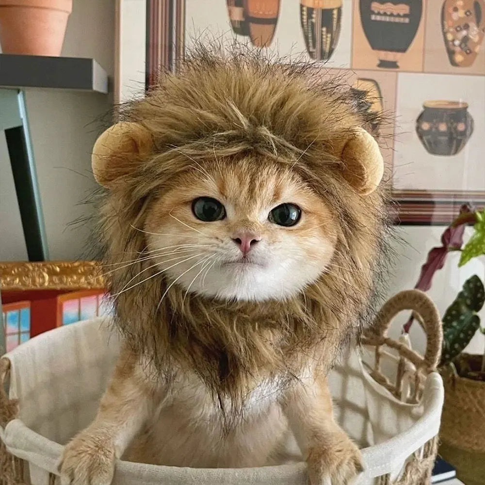 Cat Cosplay Party Hat For Large Medium Small Kitten and Puppy Cap Pet Headhood Outdoor Pet Products PhotoShoot Props Decoration