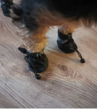 4pcs/set Waterproof Pet Dog Shoes Anti-slip Rain Boots Footwear for Small Cats Dogs Puppy Dog Pet Booties Pet Paw Accessories