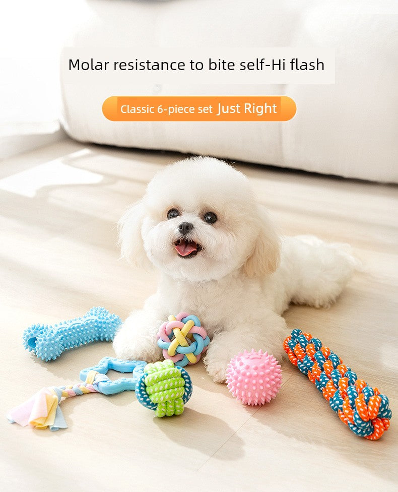 Since Hi Handy Gadget Teddy Bichon Small Puppies Dog
