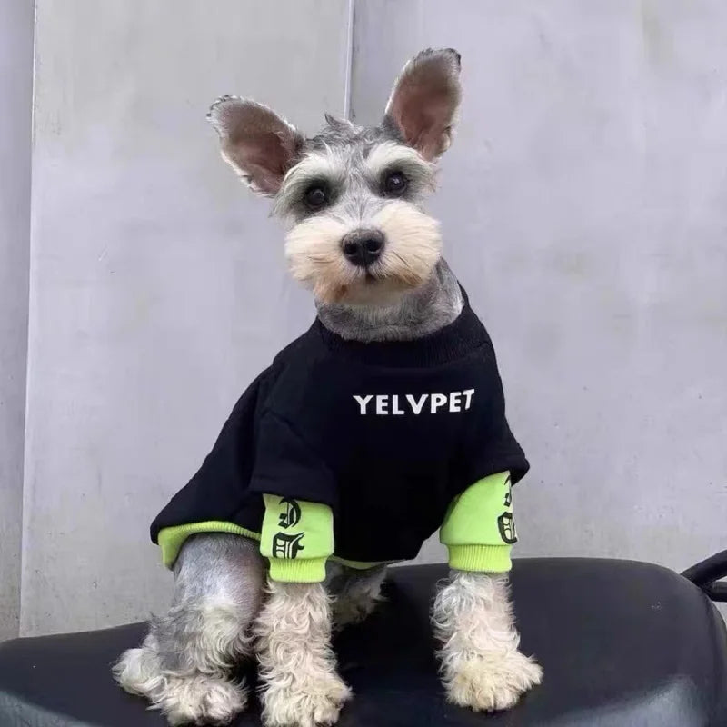 2025 Dog Clothes Cute Dog Hoodies Thin Autumn Winter Dog Coat with D-Ring Striped Print Puppy Sweatshirt Cat Jacket Pet Apparel