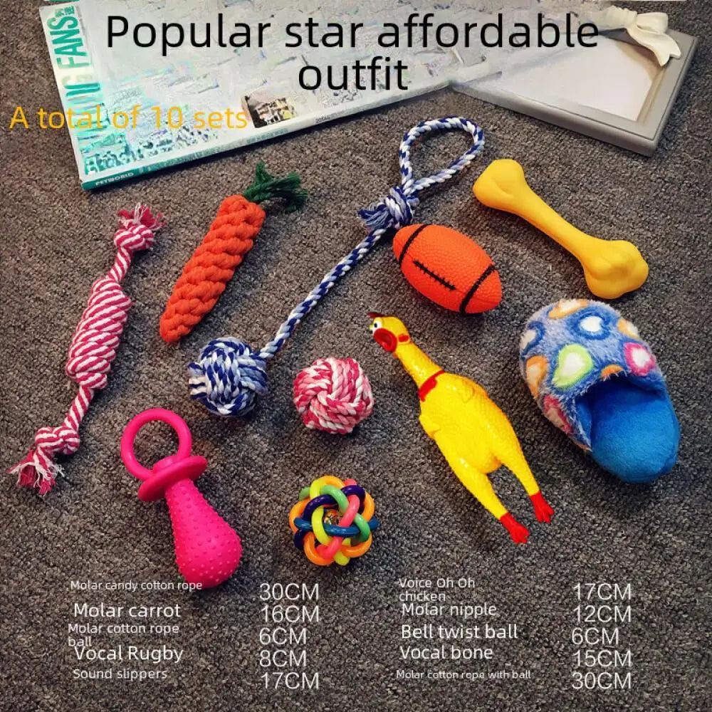 Plush Dog Toy Vocal Training Set Puppy Playtime Accessories Teddy Golden Retriever Supplies 2024 New